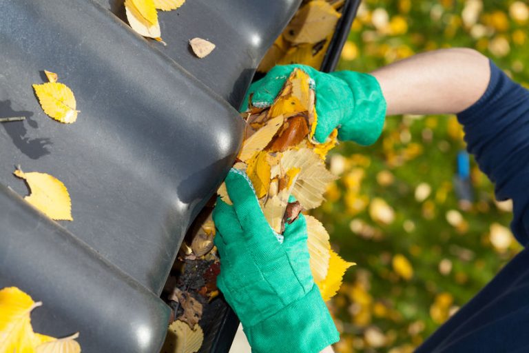 Spring Clean Your Gutters